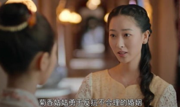 小娘惹电视剧剧情介绍,穿越时空的传奇爱情与家族恩怨